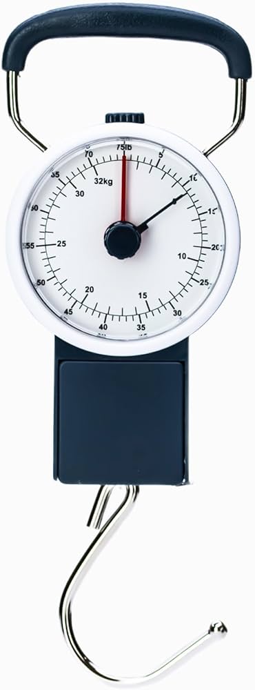 Luggage scale